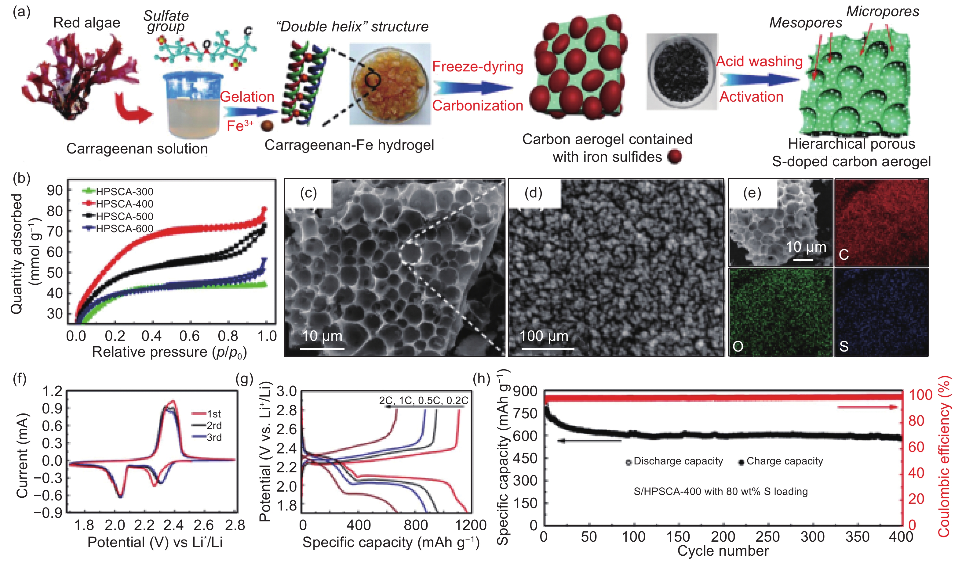 Algae Based Carbons Design Preparation And Recent Advances In Their Use In Energy Storage Catalysis And Adsorption