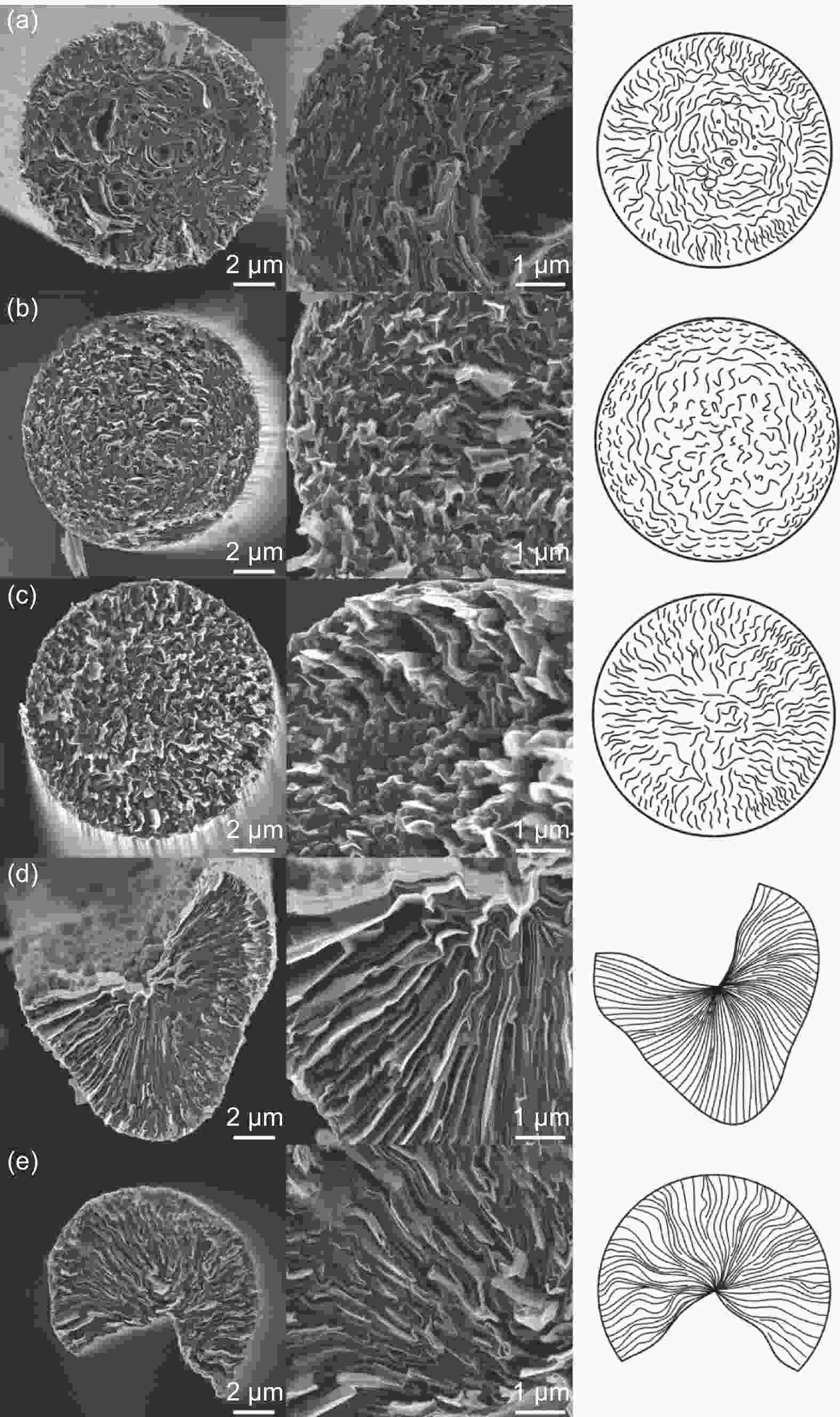 Microstructure Of High Thermal Conductivity Mesophase Pitch-based ...