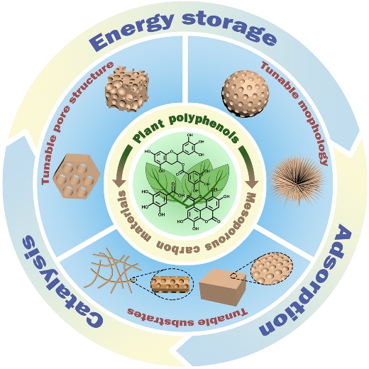 Synthesis of mesoporous carbon materials from renewable plant 