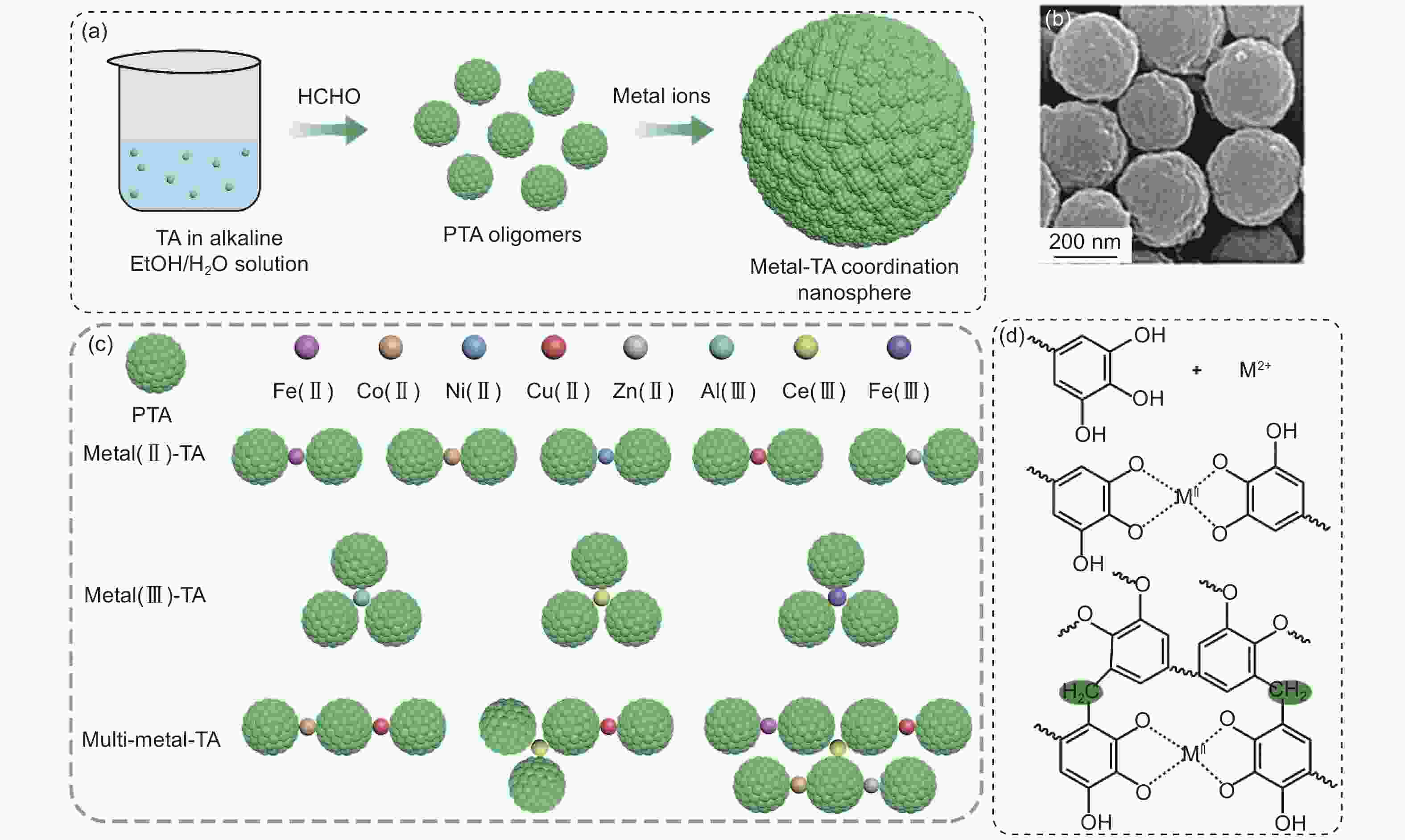 Synthesis Of Mesoporous Carbon Materials From Renewable Plant ...