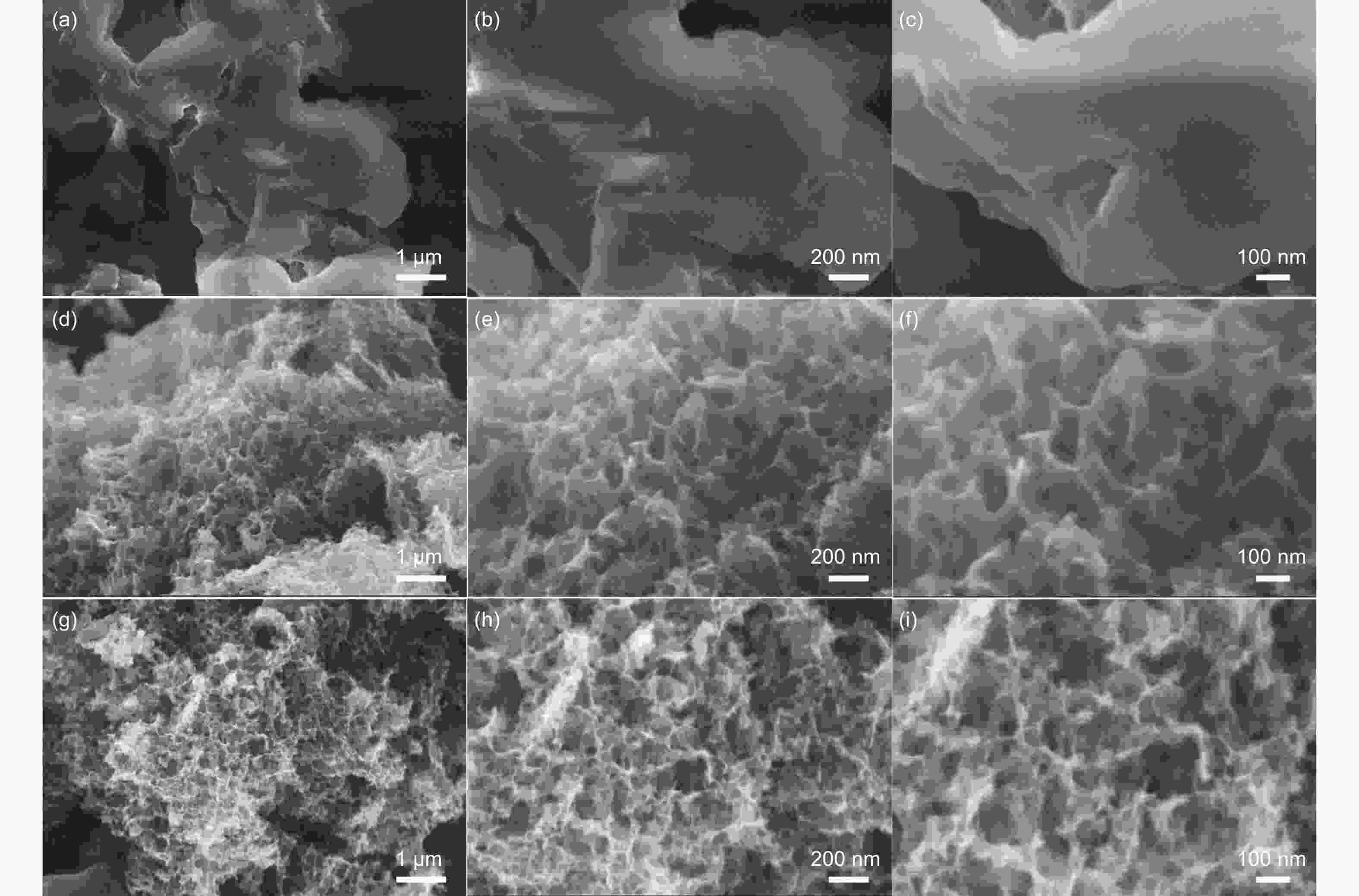 The In Situ Formation Of ZnS Nanodots Embedded In Honeycomb-like N-S Co ...