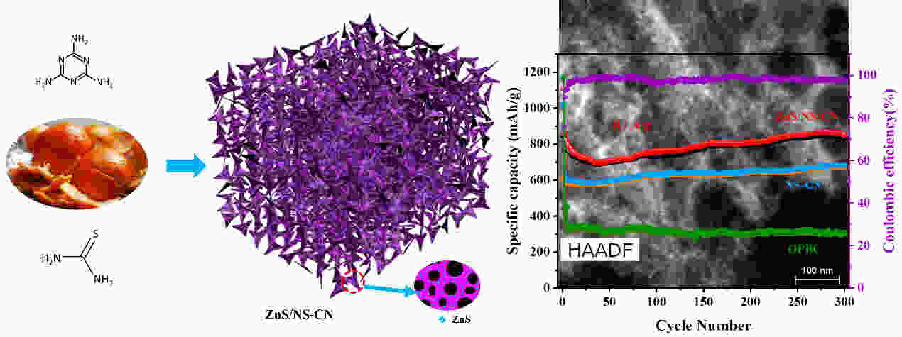 The In Situ Formation Of ZnS Nanodots Embedded In Honeycomb-like N-S Co ...