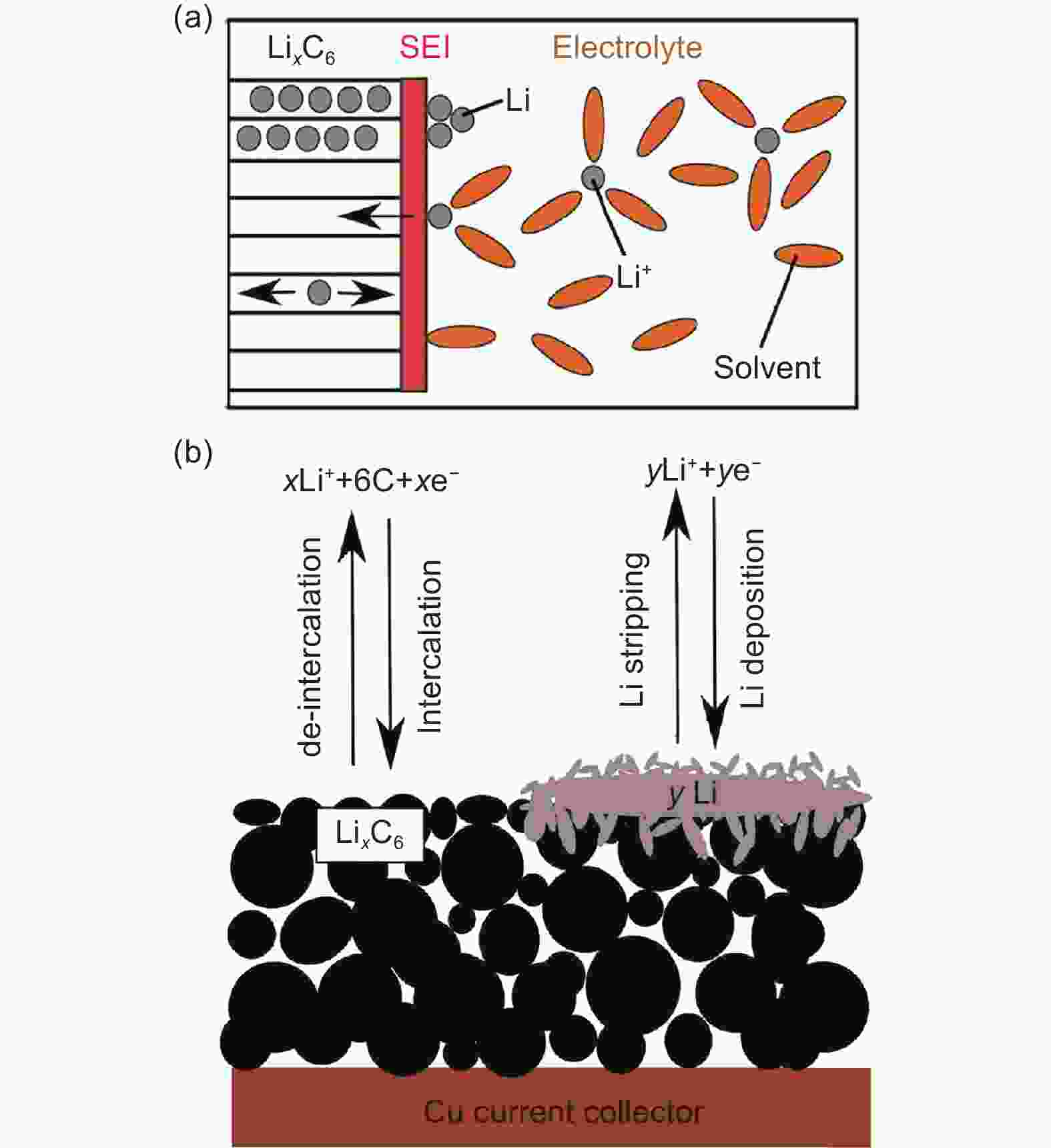 Understanding The Process Of Lithium Deposition On A Graphite Anode For ...